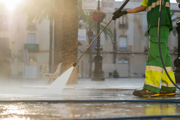 Best Patio and Deck Pressure Washing  in Western Springs, IL